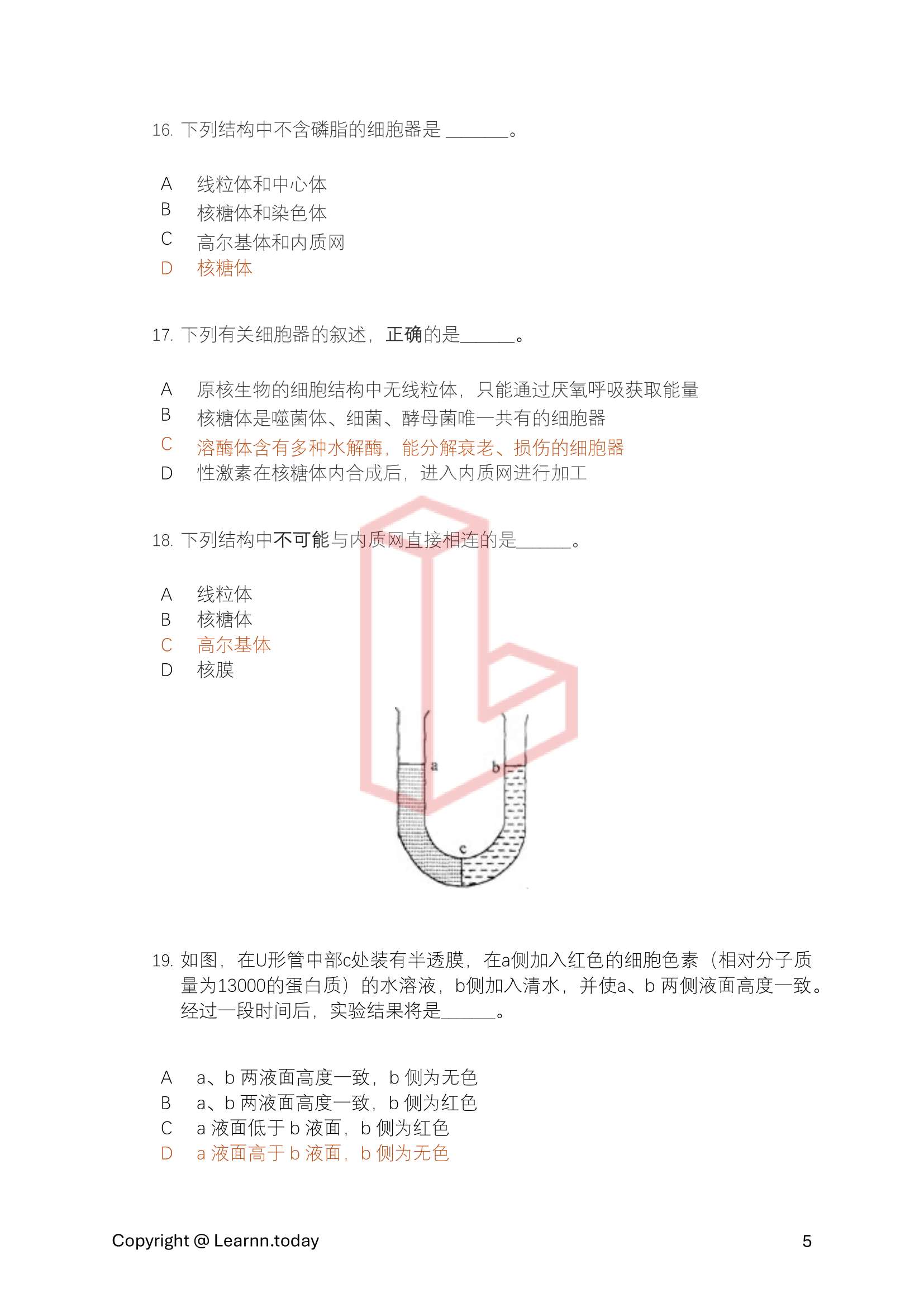 第⼀学期期中考模拟试卷 2 + 答案