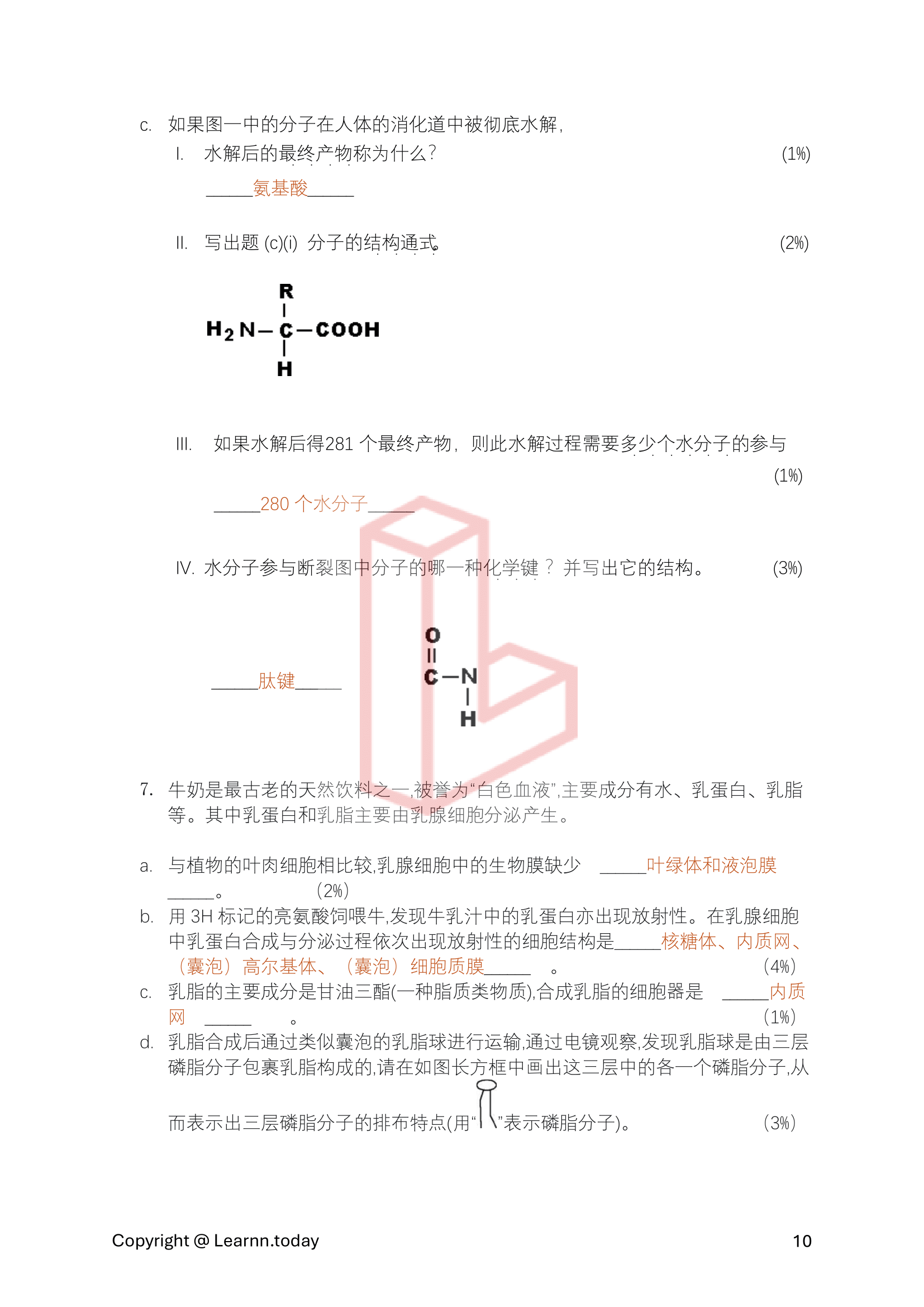 第⼀学期期中考模拟试卷 2 + 答案