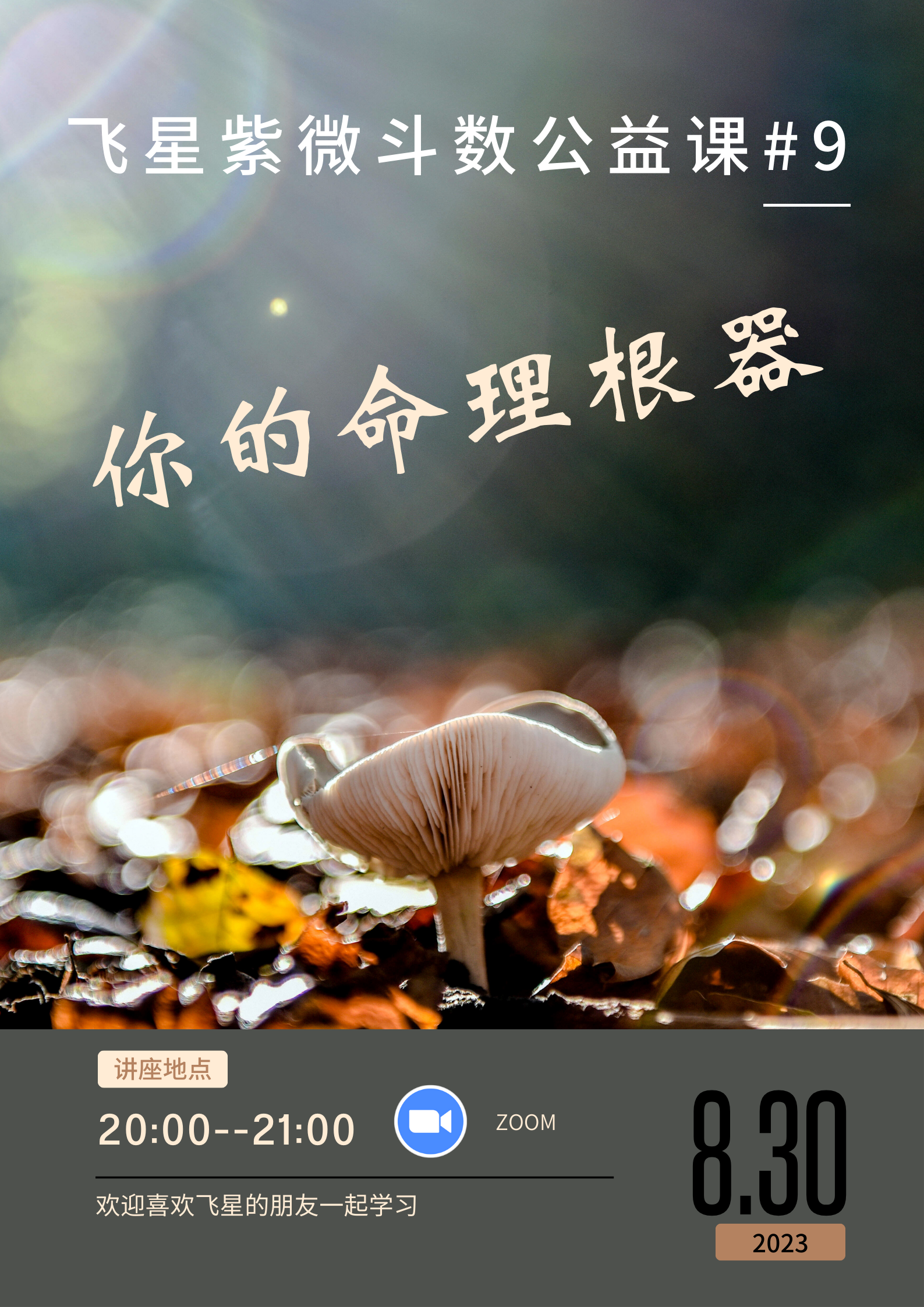 飞星紫微斗数公益课 （9） - 之命理根器